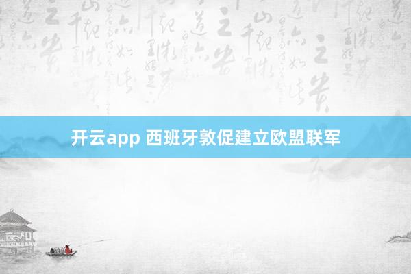 开云app 西班牙敦促建立欧盟联军