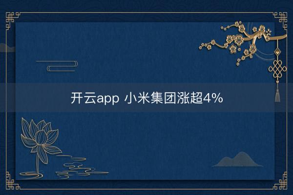 开云app 小米集团涨超4%